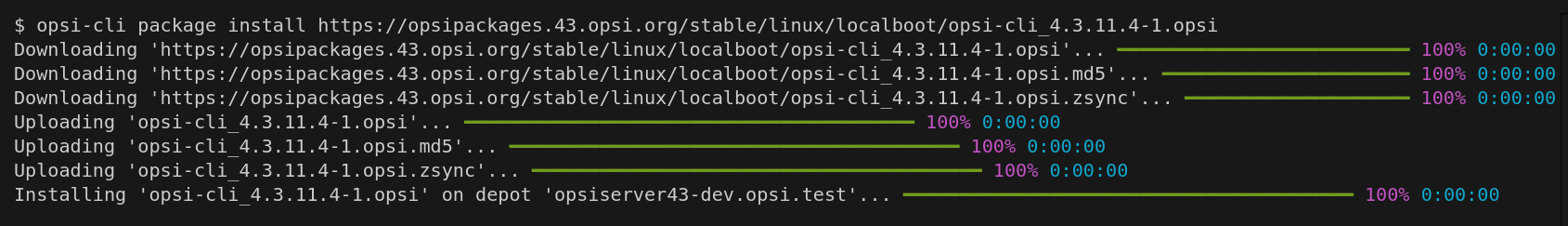 opsi-cli install package.