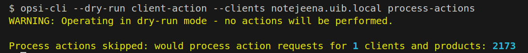 opsi-cli –dry-run client-action process-actions