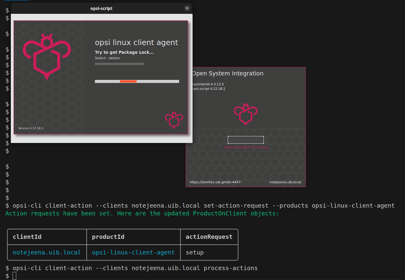 opsi-cli client-action process-actions